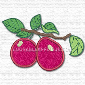Fruit