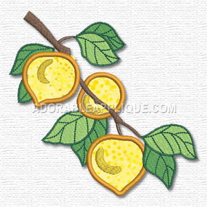 Fruit