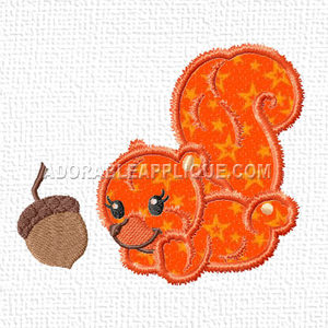 Squirrel