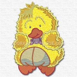 Duck