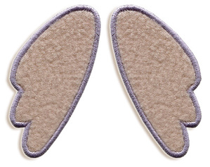 Walrus paw