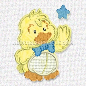 Duck