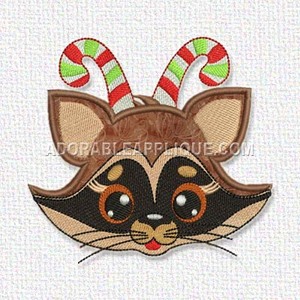 Raccoon