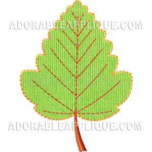 Leaves