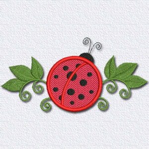 Ladybug