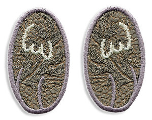 mousepaw