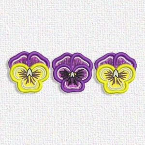 Pansy