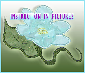 Instruction pictures