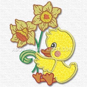 Duck