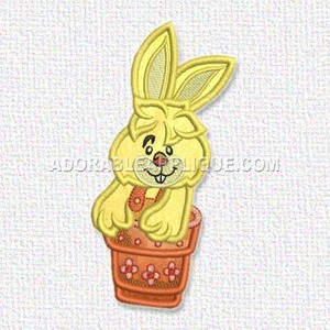 Rabbit
