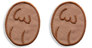 Dog paw