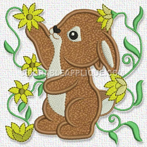 Bunny