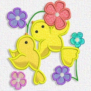 Birds
