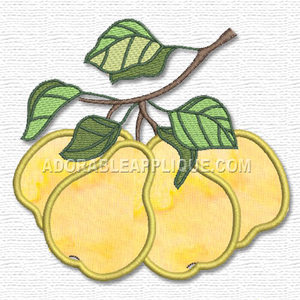 Fruit