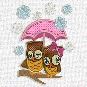 Owls