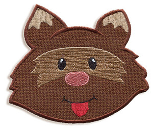 Raccoon