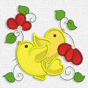 Birds