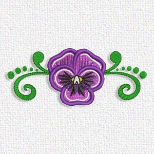 Pansy