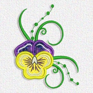 Pansy