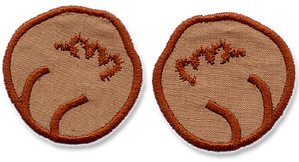 Bear paws