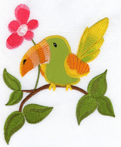 Toucan