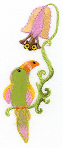 Toucan