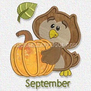 Owl