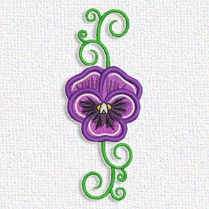 Pansy