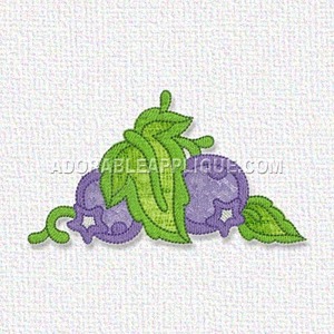Blueberry