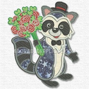Racoon