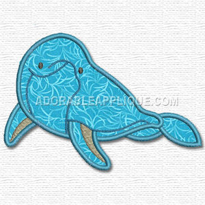 Dolphin