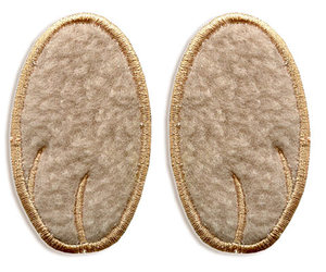 Mouse paw