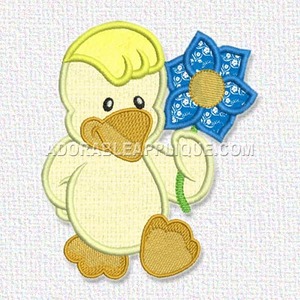 Duck
