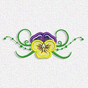 Pansy