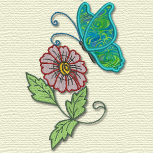 Butterfly