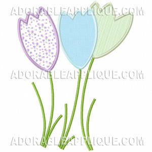 Tulip