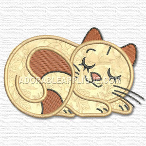 Kitten