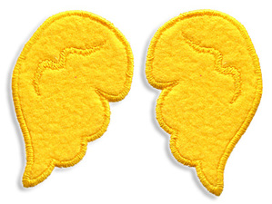 Bird paw