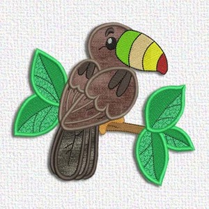 Toucan
