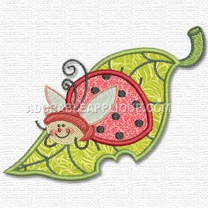 Ladybug