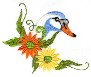 Swan