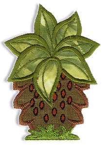 Palm