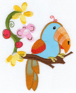 Toucan